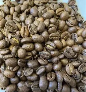 Ethiopia limu
